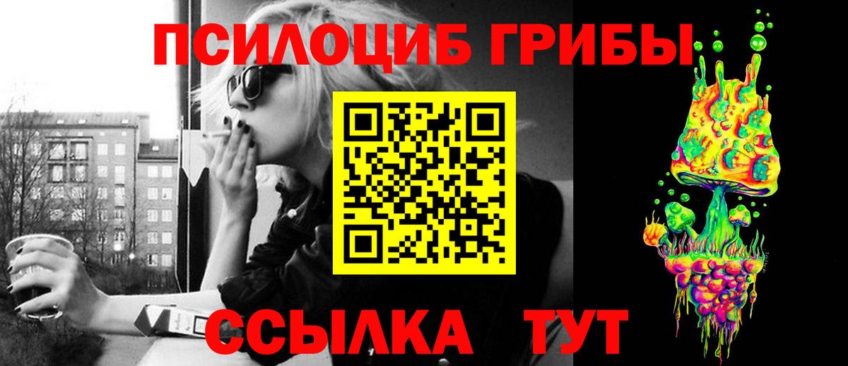 Галлюциногенные грибы Cubensis Саранск